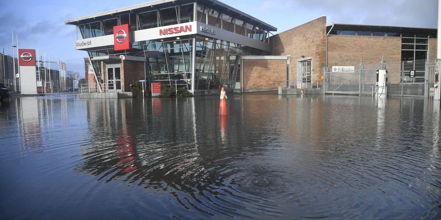 Mölndalsån i Göteborg har stigit över sina bräddar och en bilhall har drabbats av översvämning.