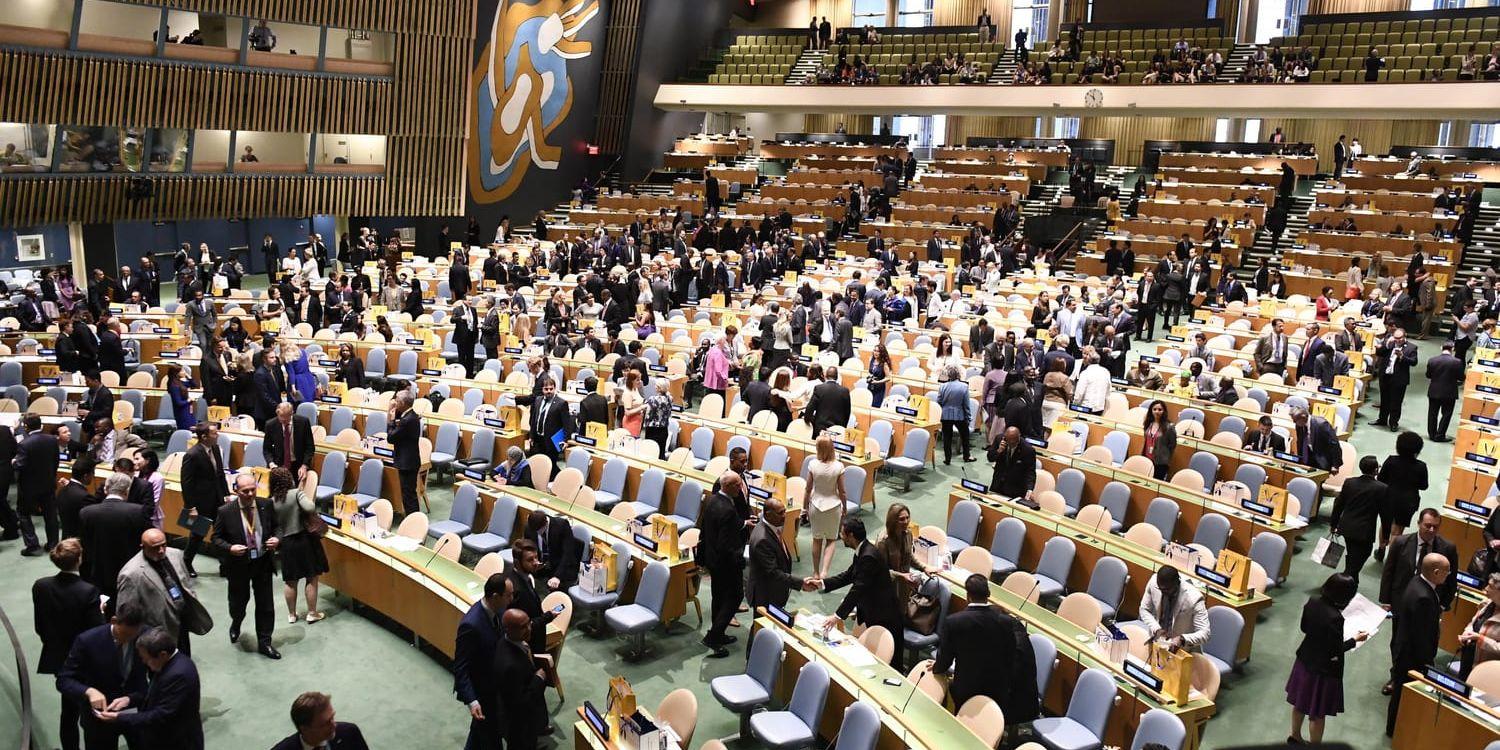 FN:s säkerhetsråd har röstat igenom ett vapenembargo mot Sydsudan. Arkivbild.
