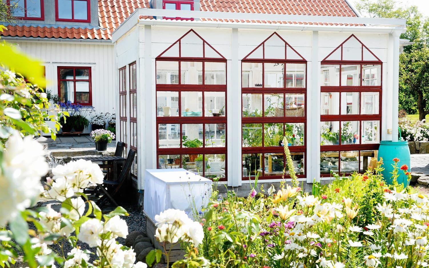 Växthuset har påmålade "fuskfönster", och är helt gjort i återbrukat material. BILD: Camilla Svensson