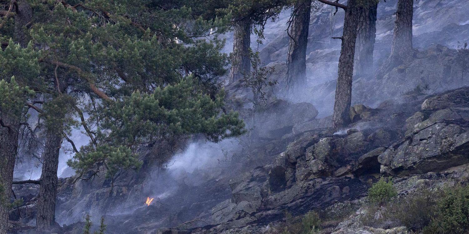 Många bränder rasar i norska skogar och marker. Både civilförsvaret och hemvärnet bistår brandkåren i släckningsarbetet. Arkivbild.