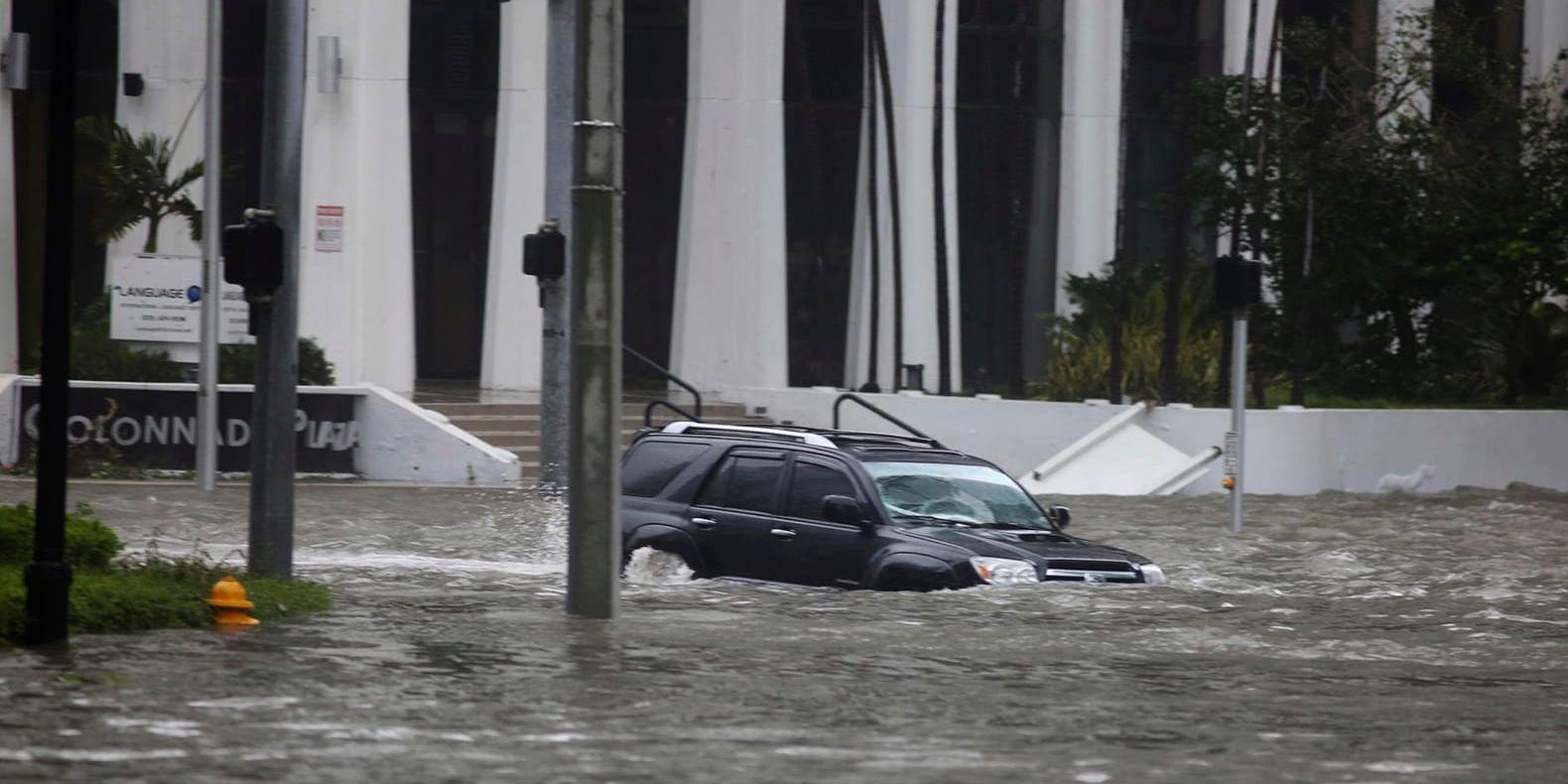 En bilist på Brickell Avenue i Miami under Irmas härjningar den 10 september förra året.