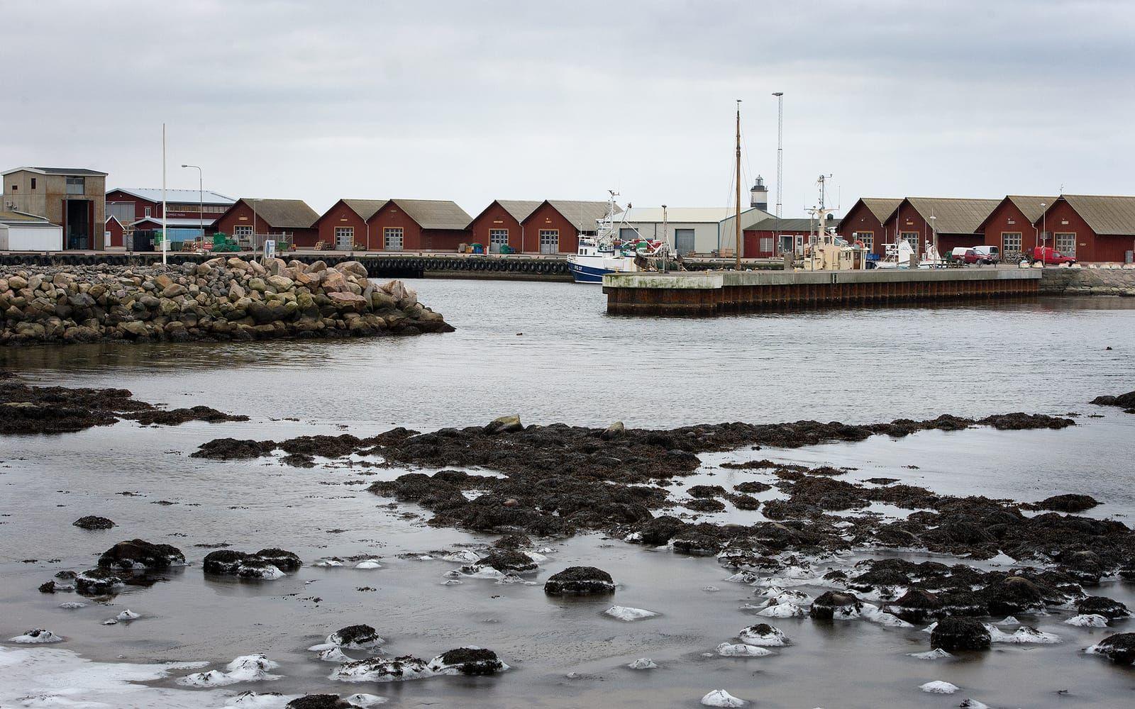 Lägger ner. Falkenberg Seafood försvinner från Glommens hamn. I maj stänger anläggningen./Arkivfoto Ola Folkesson