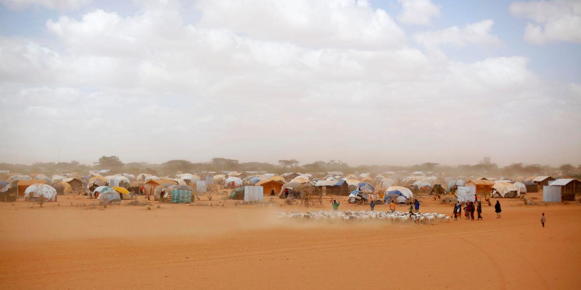 Flyktingläger i östra Kenya, där torka tvingat många människor på flykt. Arkivbild.