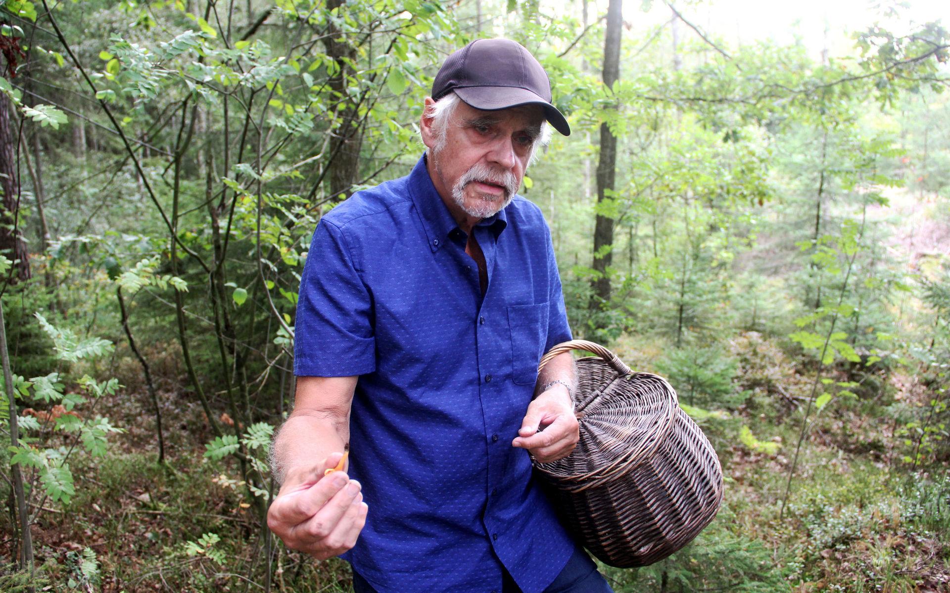 Sven Dahlbom demonstrerar narrkantarellen som kan lura en och annan svampplockare.