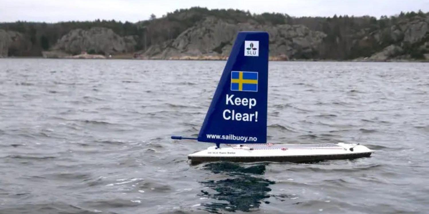 SLU-drönaren Aqua Sailor har testats i skarpt läge i Kattegatt i december.