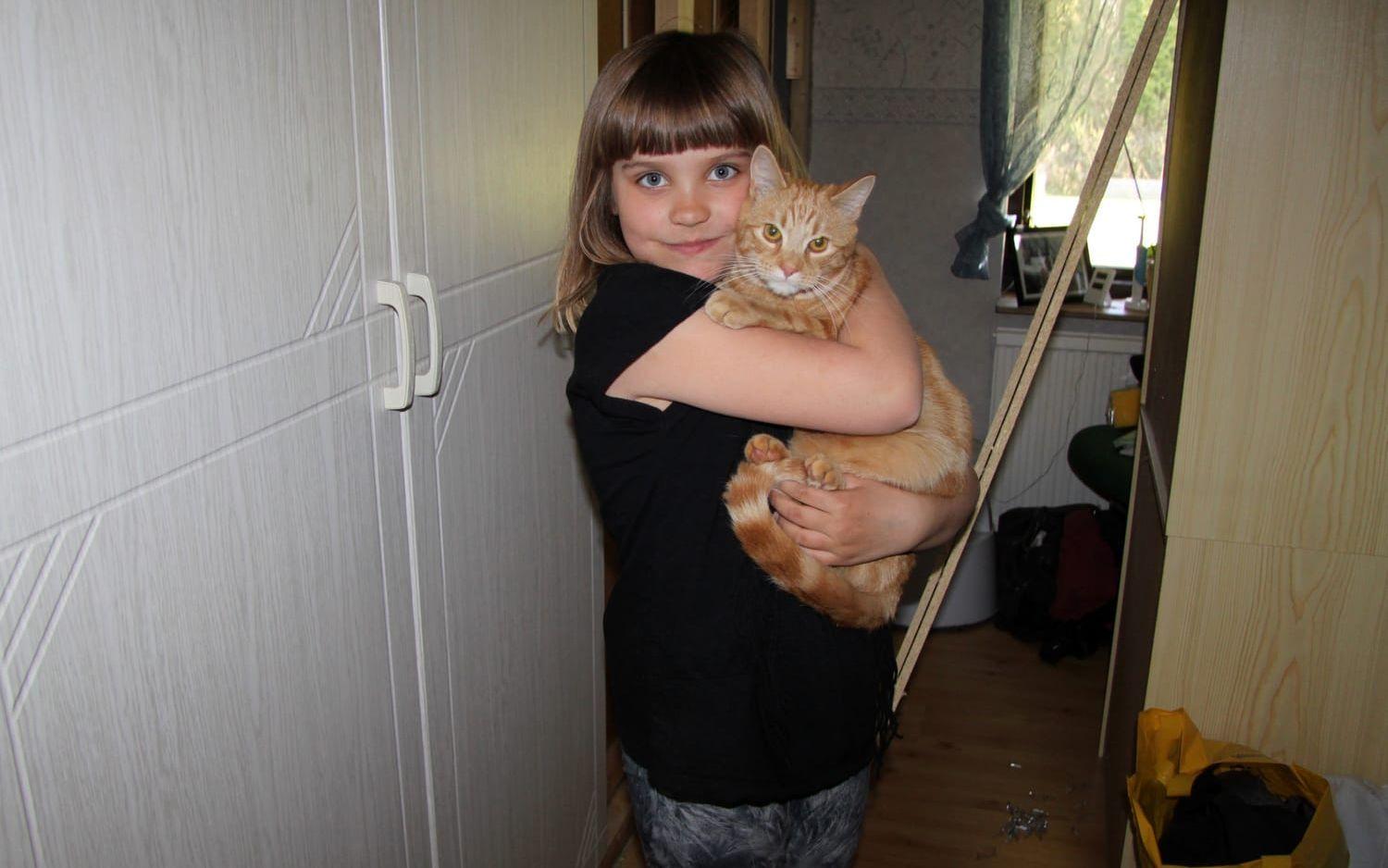 Erika Nielsen, 9, ger katten Nalle en kram efter fritagningen efter byggnadsarbetet i villan i Hyltebruk. Bild: Jan Bergman.