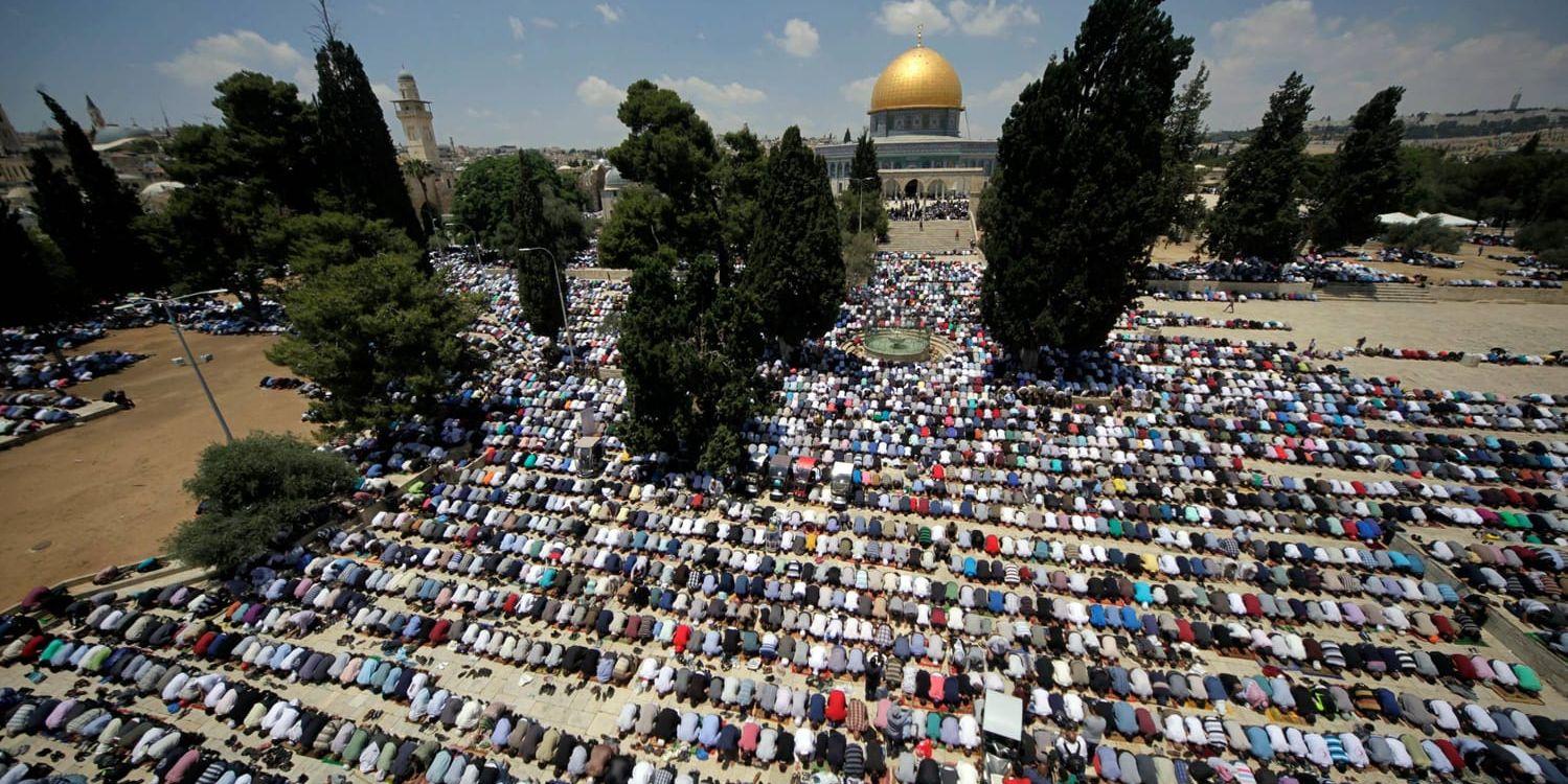 Palestinsk bönestund på Tempelberget under ramadan i juni.