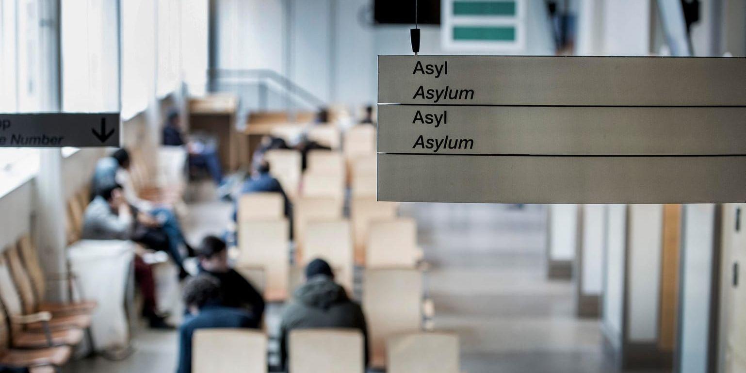 Det blir fler asylsökande till Sverige om den tillfälliga, skärpta asyllagen upphör nästa sommar. Arkivbild.