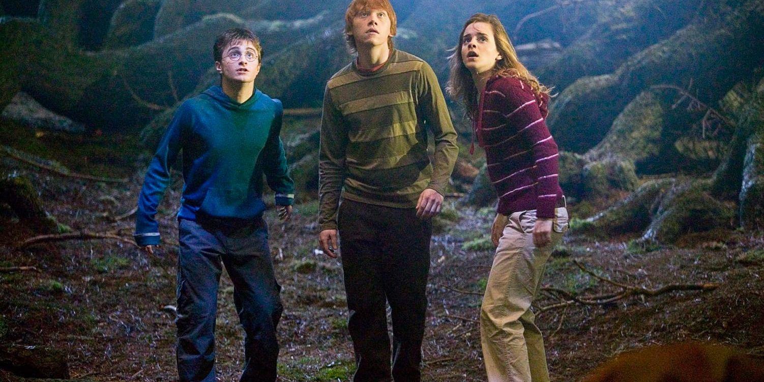 Daniel Radcliffe, Rupert Grint och Emma Watson i "Harry Potter och Fenixorden". Arkivbild.