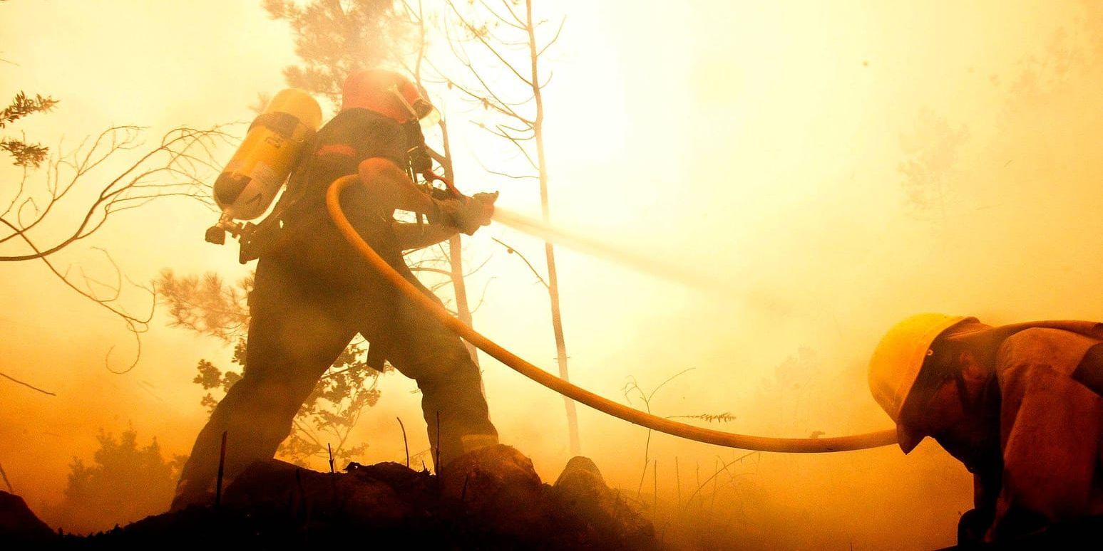 Brandmän bekämpar en skogsbrand i galiciska Cee. Arkivbild.