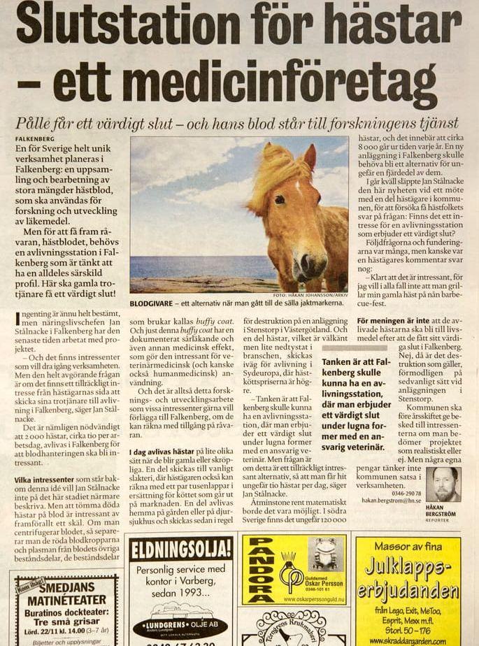 Så blev det inte. ”Det är nödvändigt att 2 000 hästar avlivas per år i Falkenberg för att blodhanteringen ska bli intressant”, stod det i nyhetsartikeln 2003..