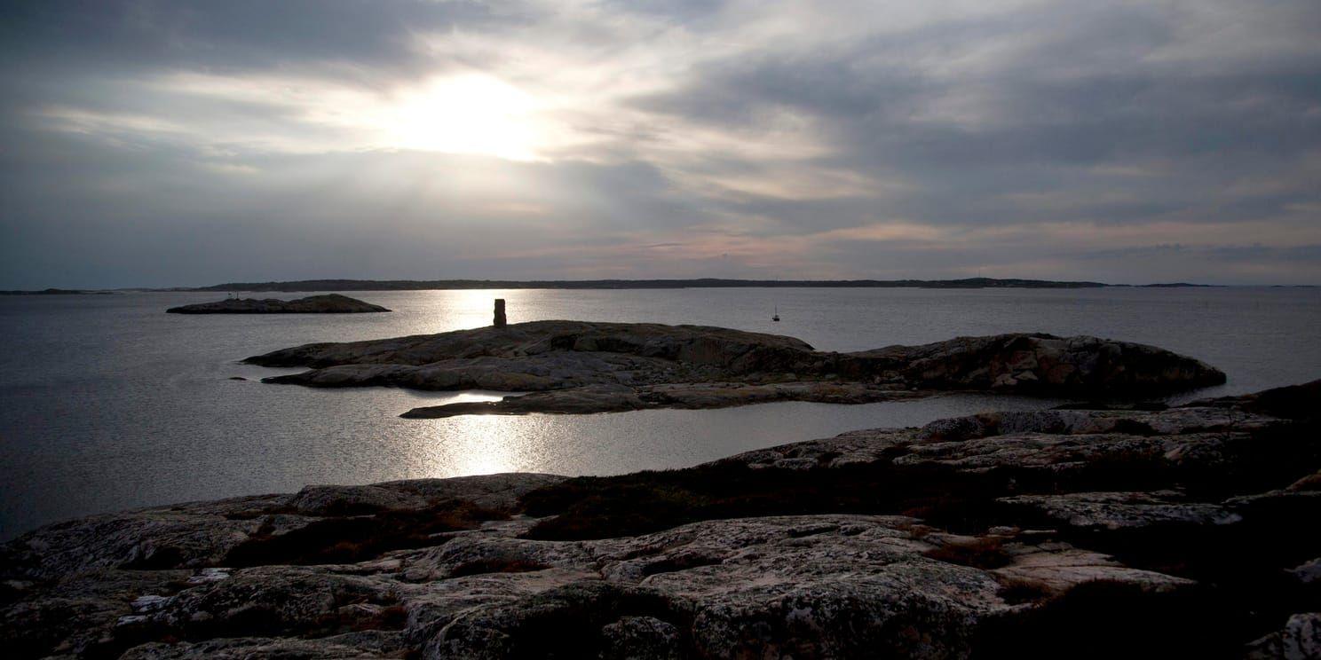 En för Sverige ny snäckart har hittats utanför Bohusläns kust. Arkivbild.