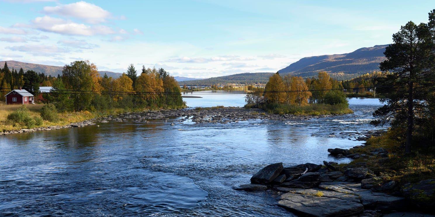 Tonvis med fosfor och kväve rinner ut i vattendrag runt om i Sverige. En del av utsläppen kommer från små avlopp som saknar godkänd rengöring. Arkivbild.