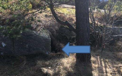 Tjuvgömma. Under en sten, täckt av en grästuva, låg bytet gömt.Bild: POLISEN.
