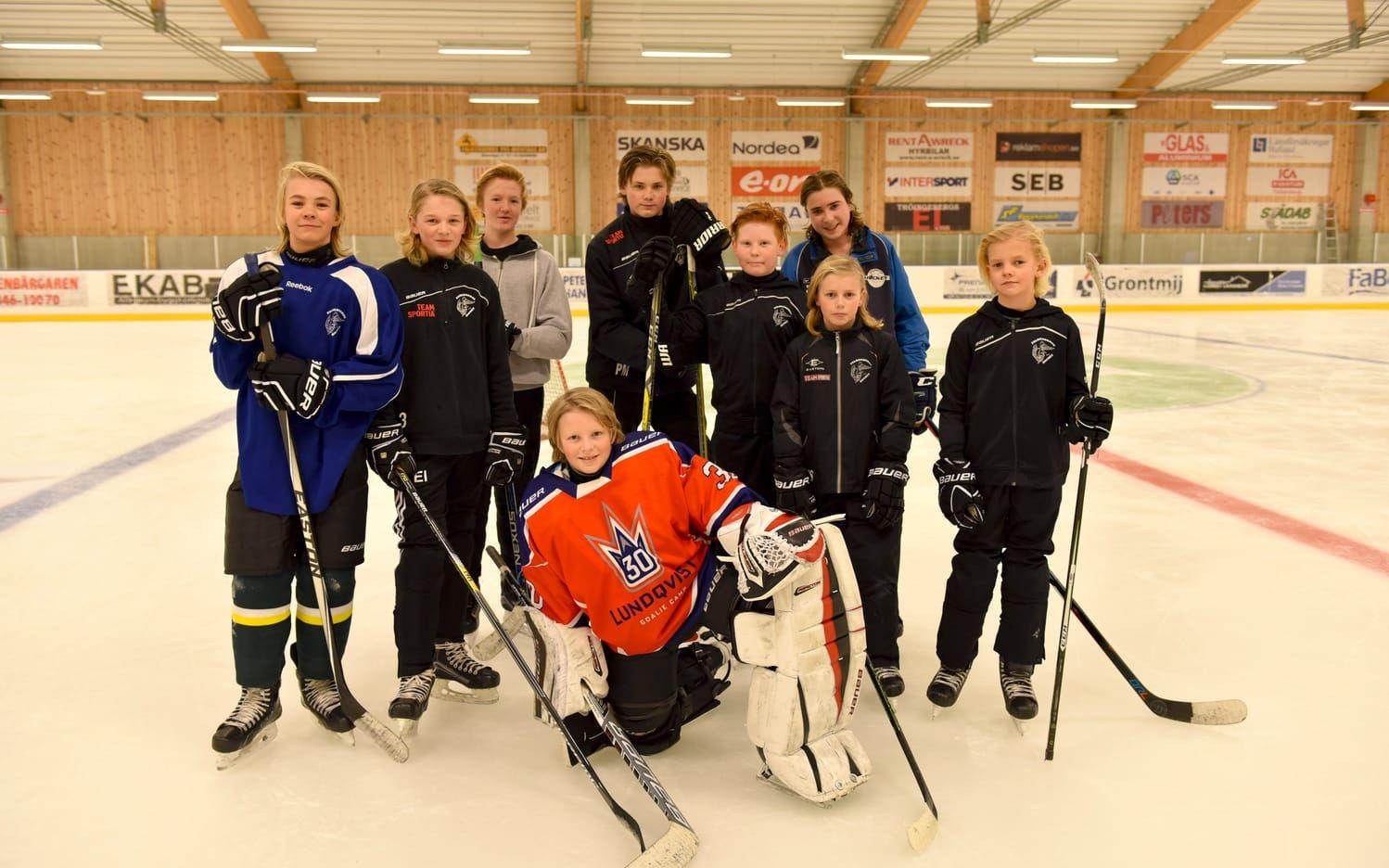Falkenbergs hockeyklubb har funnits i sju år och har hela tiden haft tänket att a-laget ska ha minst 75 procent av sina egna produkter. Bild: Jill Wegerup