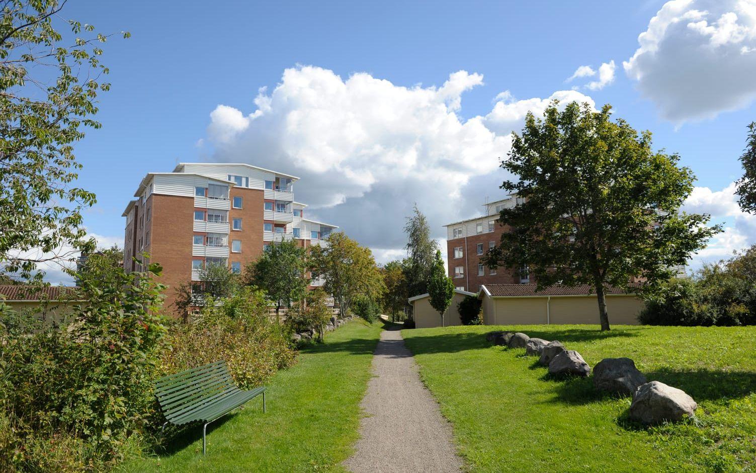 Varbergs Bostad AB vill bygga drygt 200 nya lägenheter på Apelvikshöjd. Bild: Rebecka Kvint