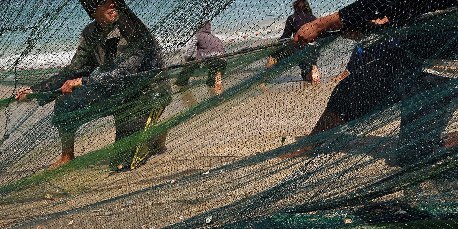 Fiskare i Gazaremsan. Arkivbild.