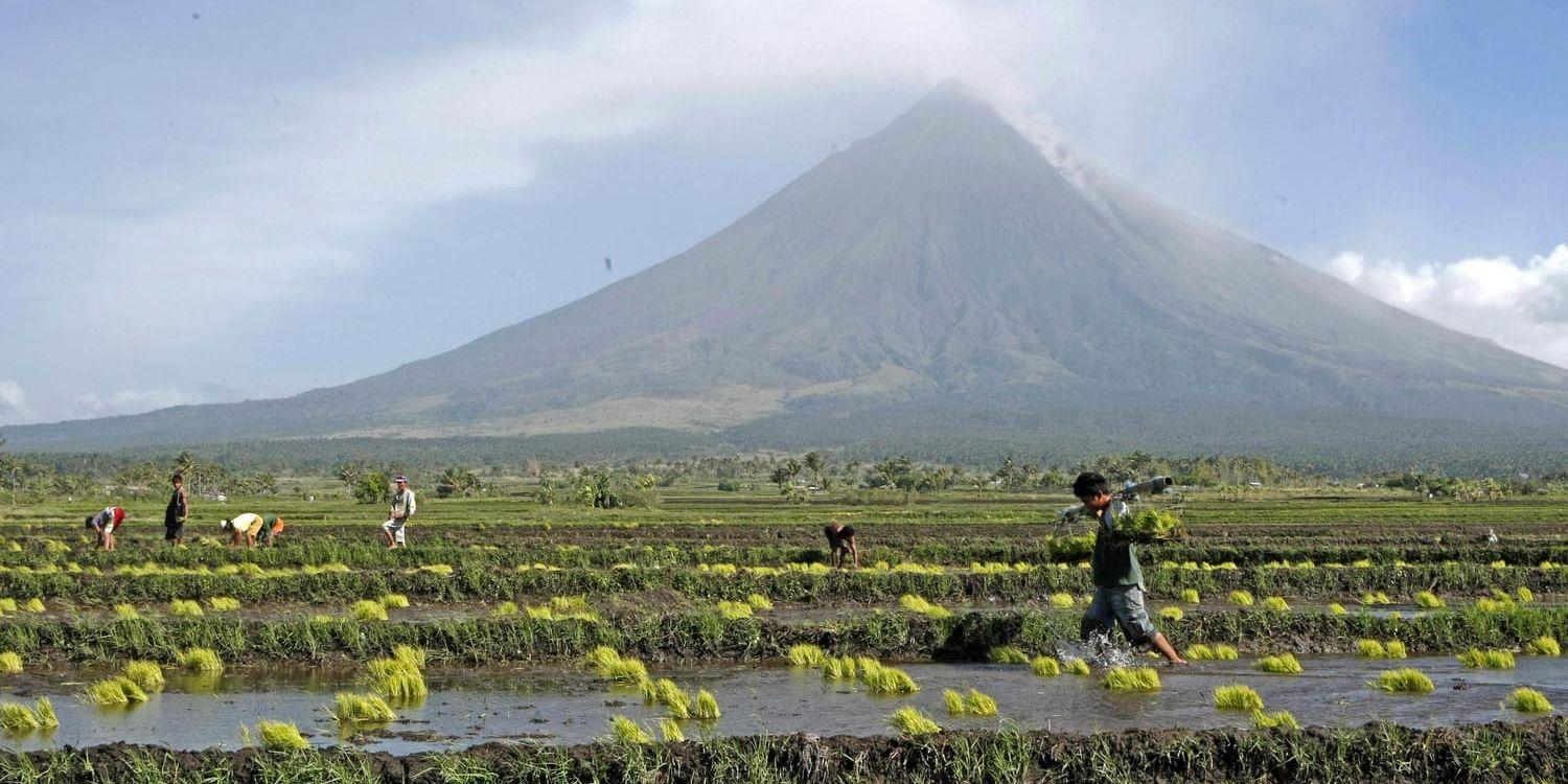 Vulkanen Mayon. Arkivbild.