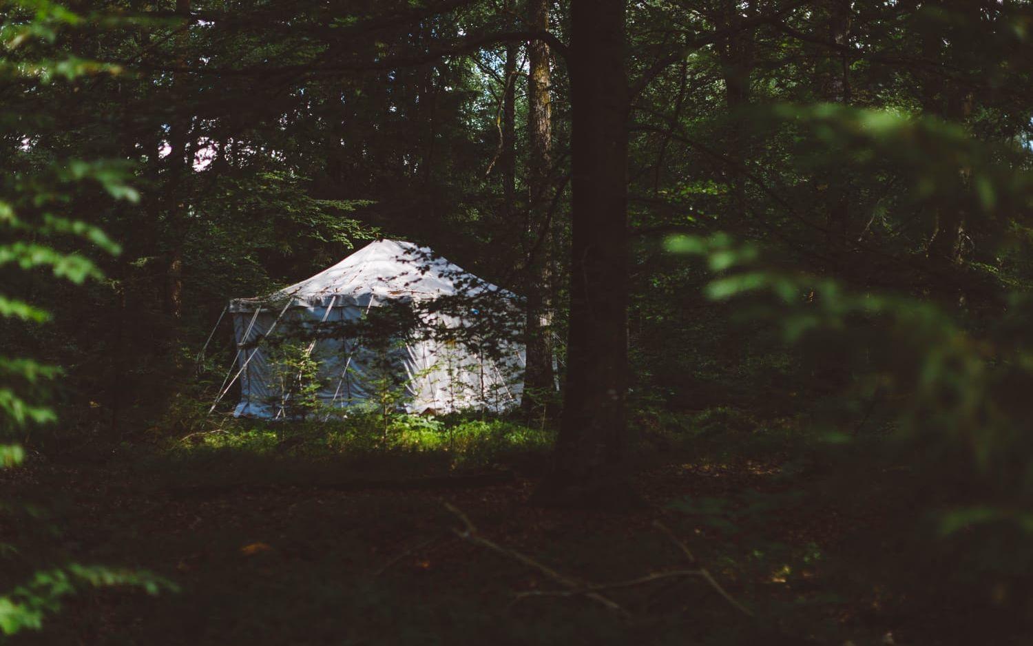 Ett av beduintälten skymtar i skogen. Bild: Anders Andersson
