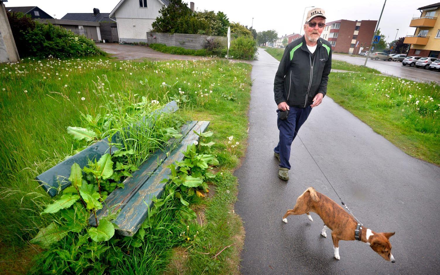 På promenad. Bengt Andersson och hans Fila möter många grannar som är missnöjda med kommunens skötsel av grönområdet. Bild: Annika Karlbom