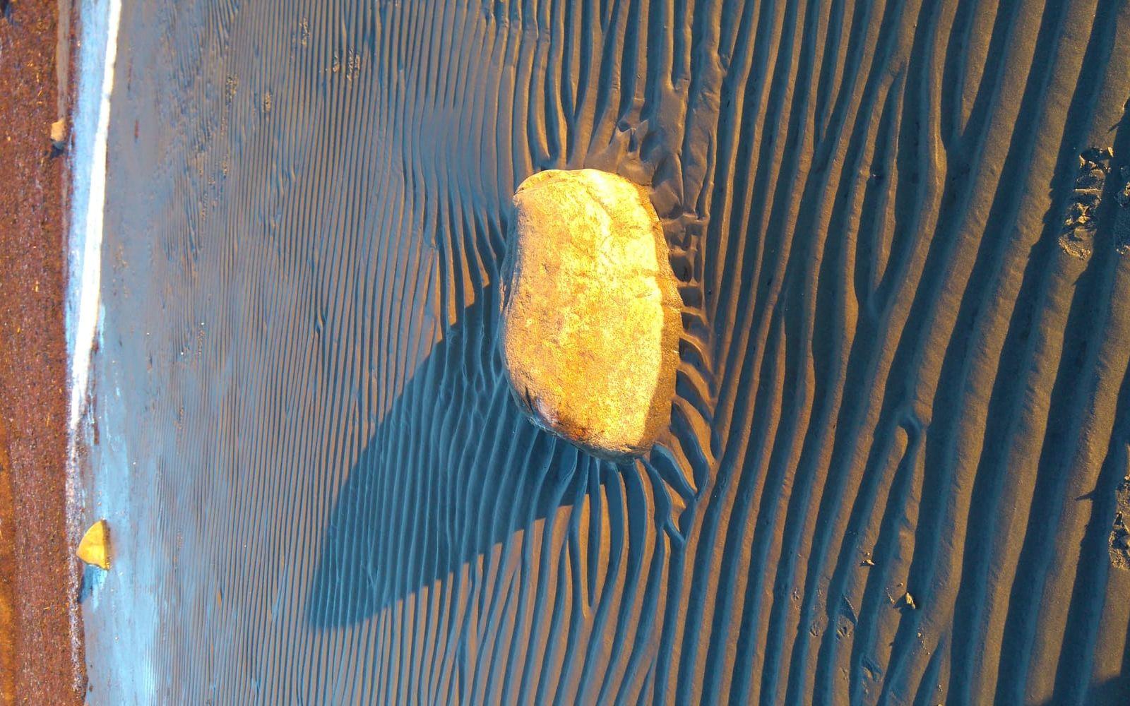 Guldlyssnde stenar vid havet. Bilden är tagen söder om Glommen. BILD: Gunnel Sigfeldt Jonsson