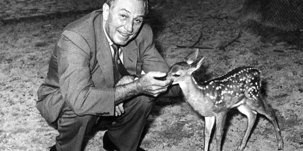 En hemlös man har hittat en originaltavla tavla med Bambimotiv från 1937. Bilden är från 1958, då Walt Disney bekantade sig med en levande Bambi på Västberlins Zoo.