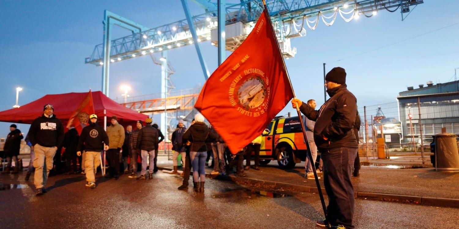 Tvisten och de tillfälliga strejkerna i Göteborgs containerhamn är bakgrunden till att regeringens utredning om begränsad strejkrätt kom till. Arkivbild.