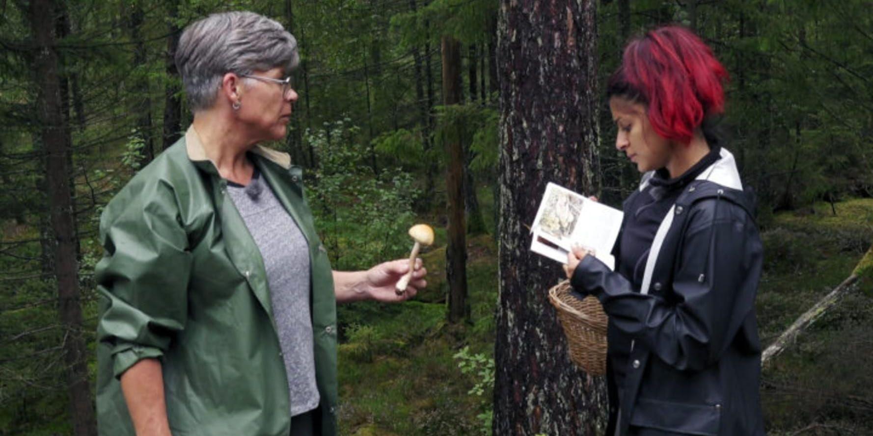 Camilla Hallberg och Mina Motazed Keyvani letar mat i skogen. Pressbild.