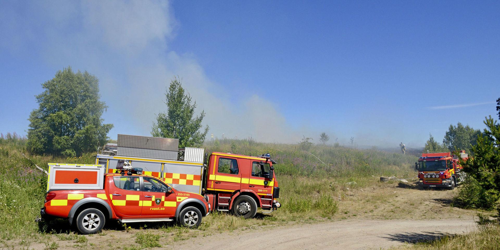 Risken för bränder i skog och mark har ökat.