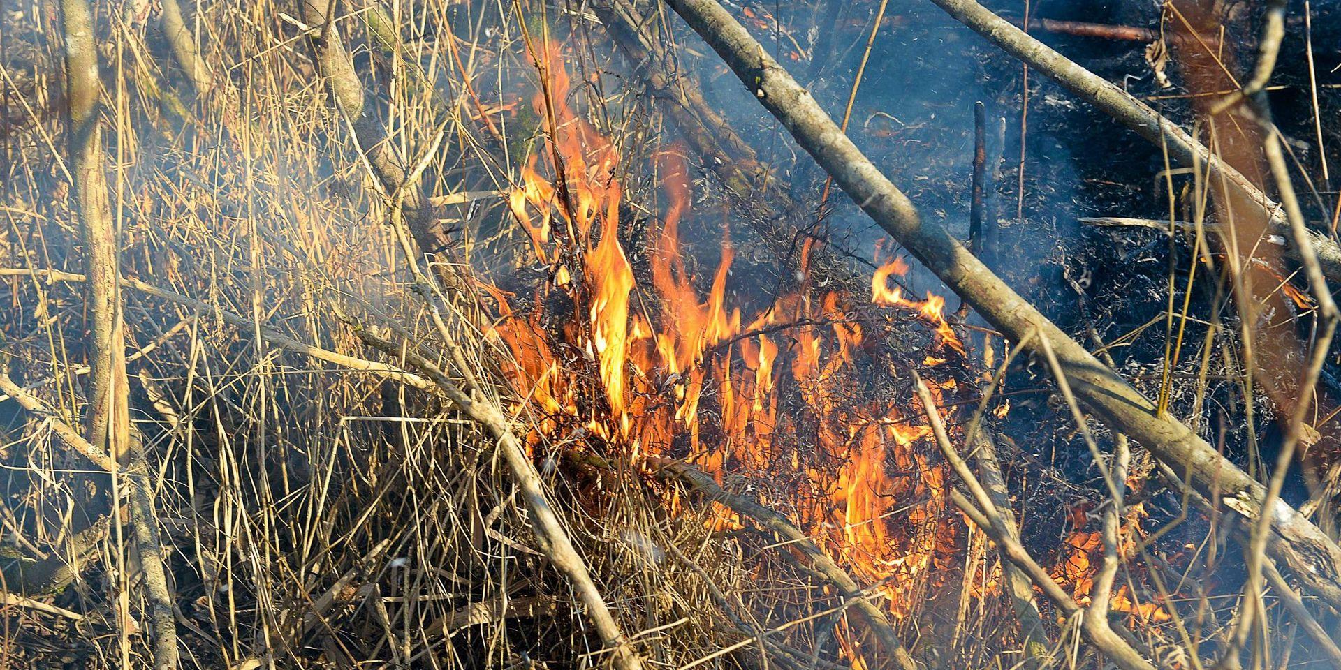 Det är lätt hänt att elden sprider sig när man eldar utomhus och det är torrt i markerna. 
