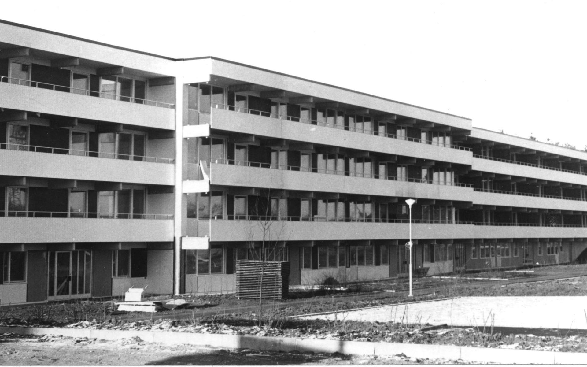 Fotografi från Trädlyckan 1971.