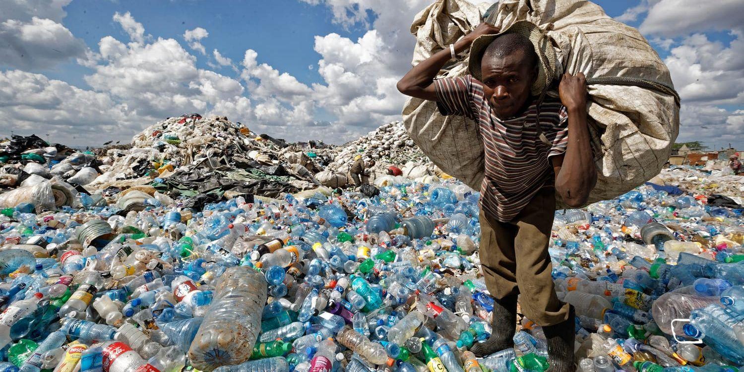 En man samlar plastflaskor i ett sopberg i ett slumområde i Kenyas huvudstad Nairobi. Arkivbild.