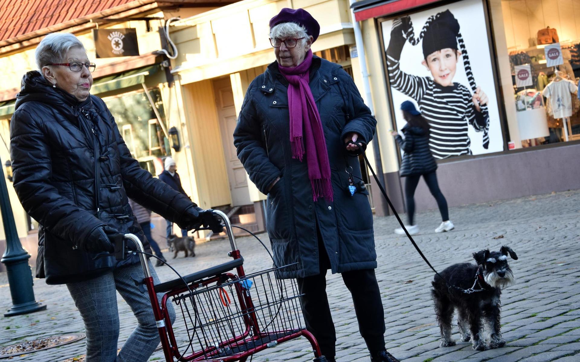 Solveig Olsson och Vivi Jonsson med hunden Vilda.