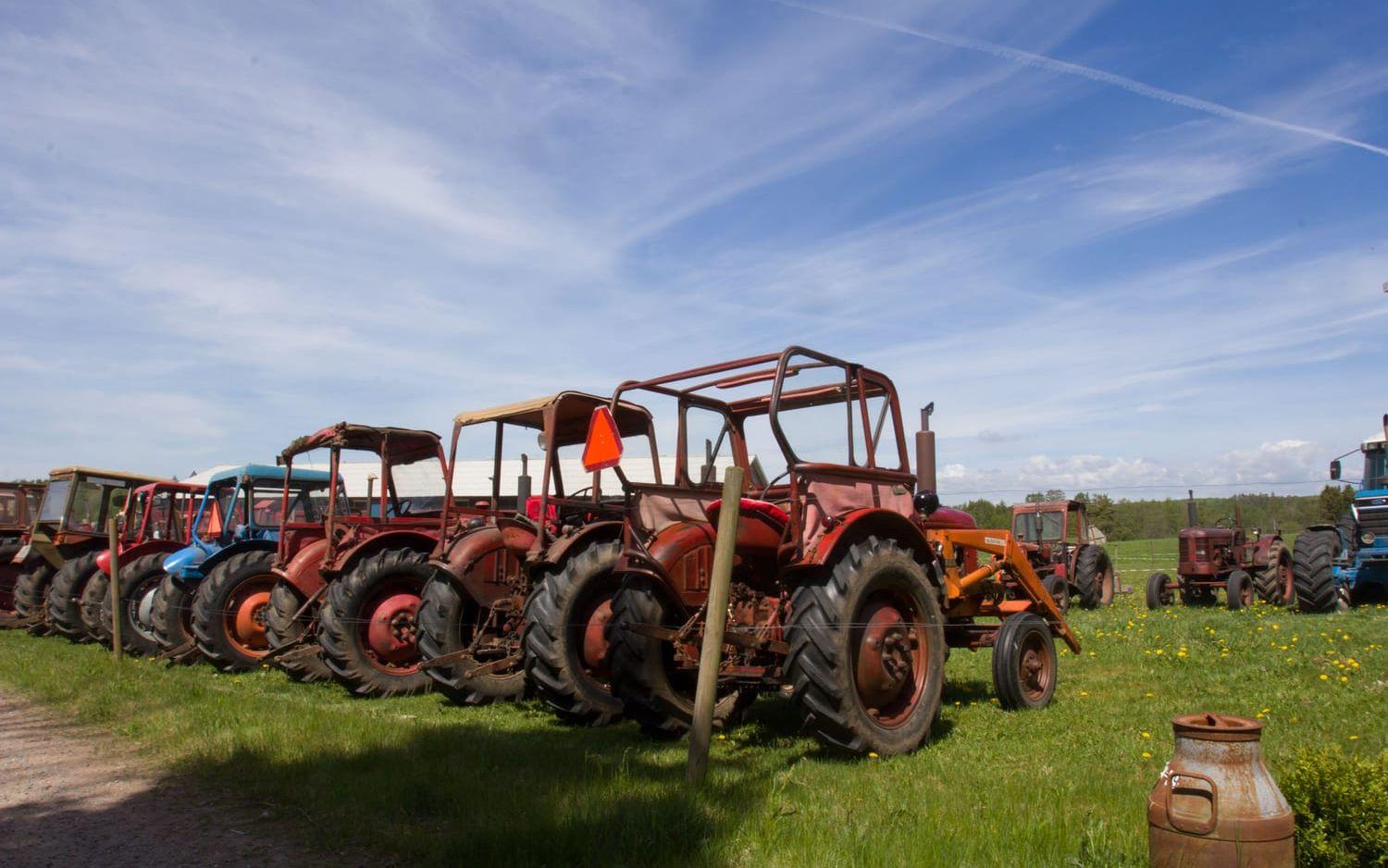 Ett 40-tal ekipage brukar delta vid traktorträffen, som utgår från Åsjömad seminstation. Bild: Jonatan Gernes
