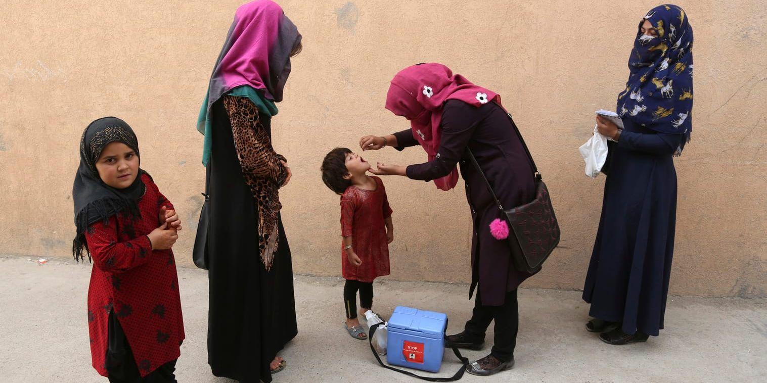 Afghanska barn i huvudstaden Kabul (som inte kontrolleras av talibaner) får poliovaccin. Arkivbild.