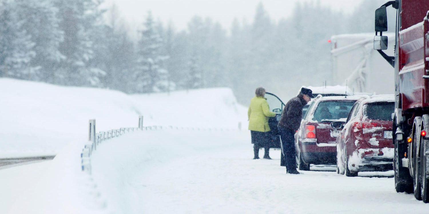 Den stora snömängden i Västernorrland och Gävleborgs läns förra veckan har lett till flera trafikolyckor. Den stora mängden snö riskerar att locka ut viltet från skogarna vilket kan orsaka fler trafikolyckor.