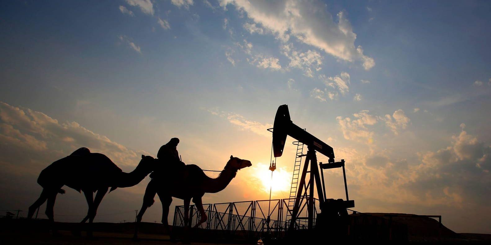 Oljekartellen Opec höjer sin prognos för global efterfrågan på olja för 2018. Arkivbild.