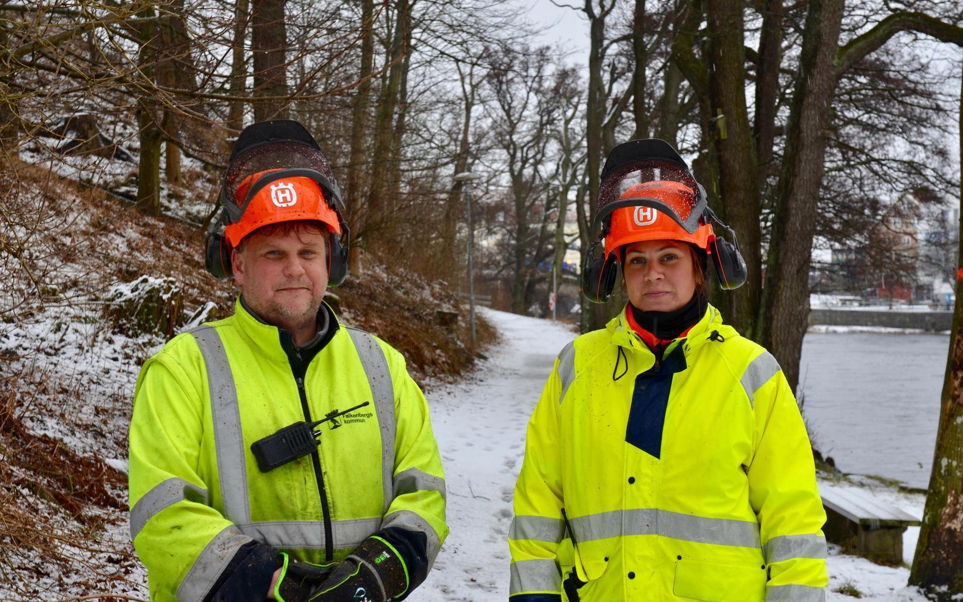 Arbetsledaren Daniel Andersson och medarbetaren Emma Johansson arbetar med att fälla träd i ovädret. 
