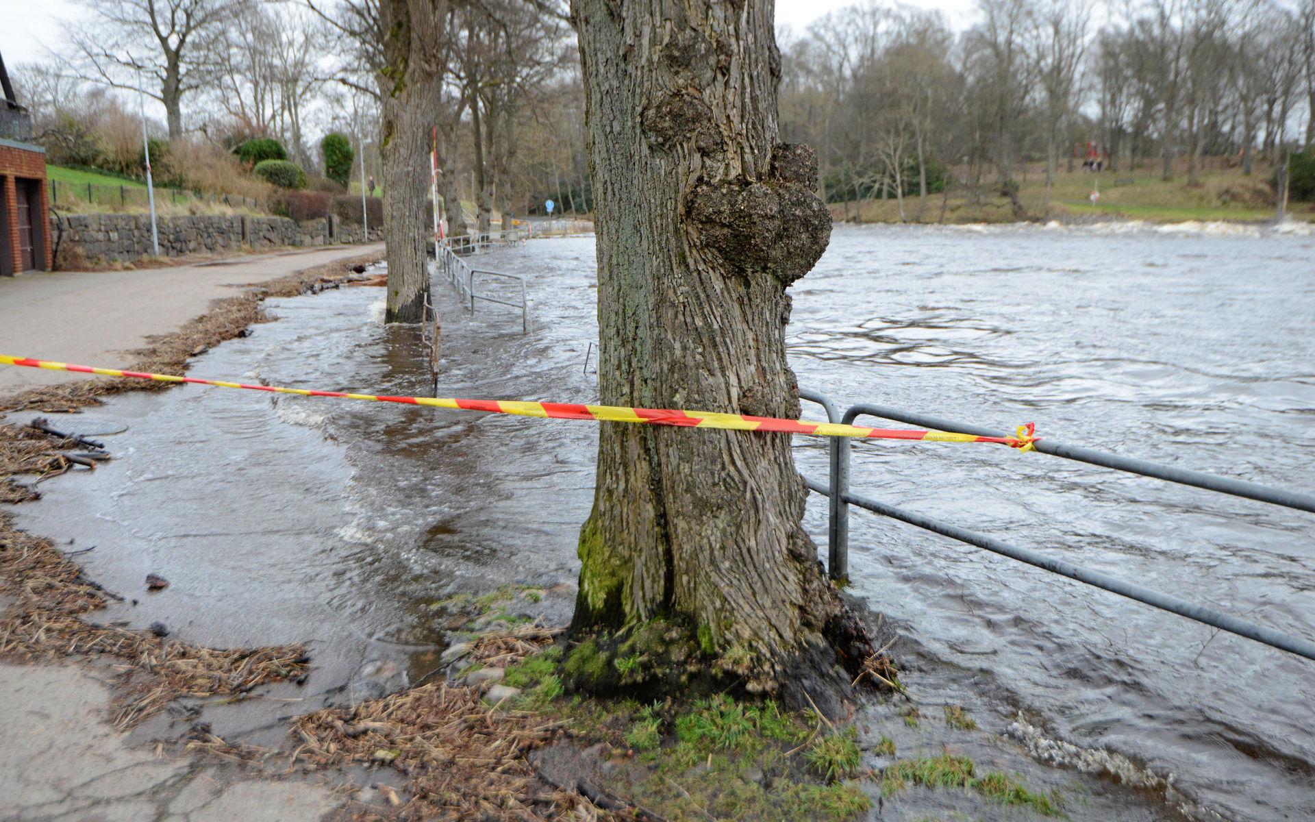 Översvämningen i Falkenberg. Bilden är tagen 21 februari 2020. 