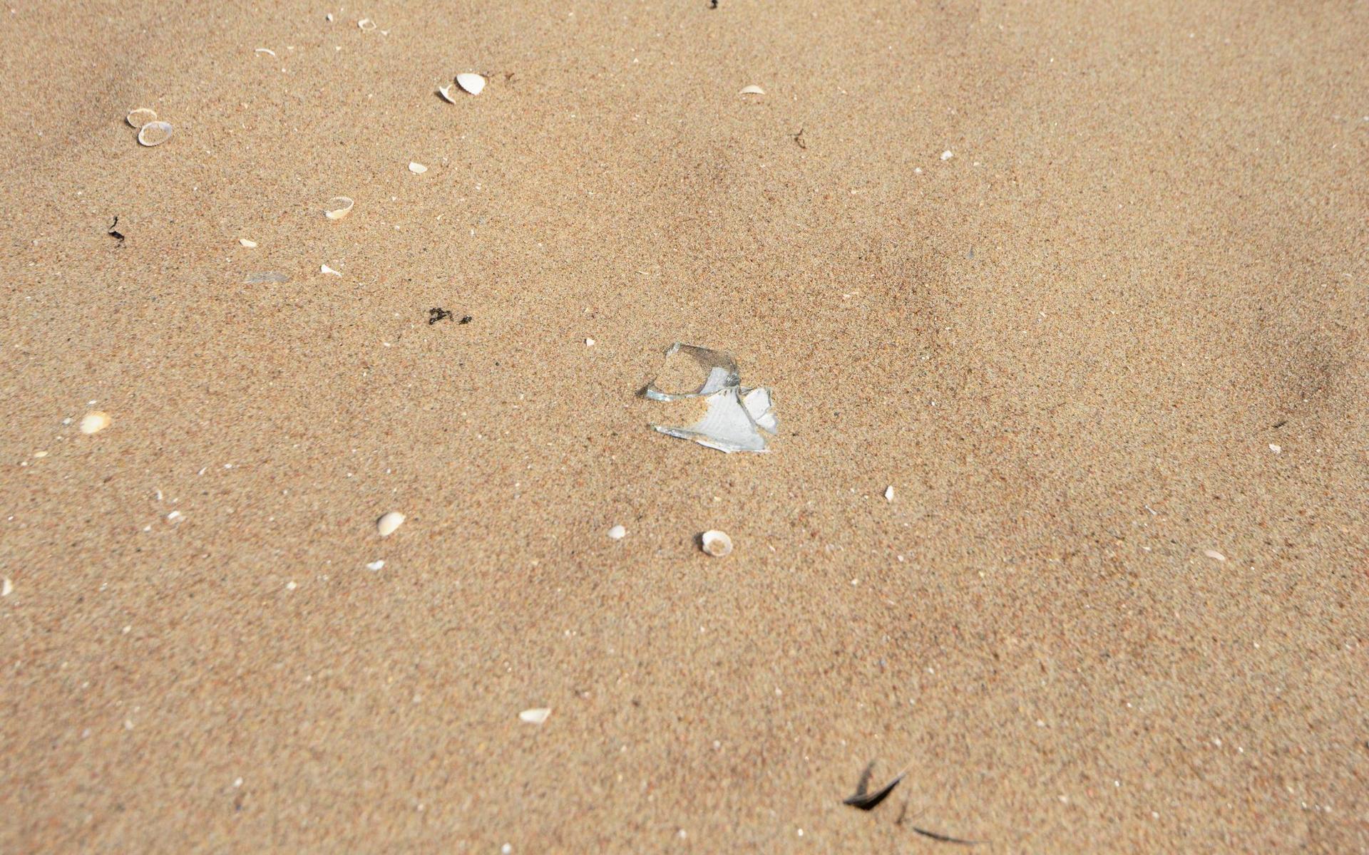 Där hundbadet börjar och slutar låg massor av glasskärvor i sanden.
