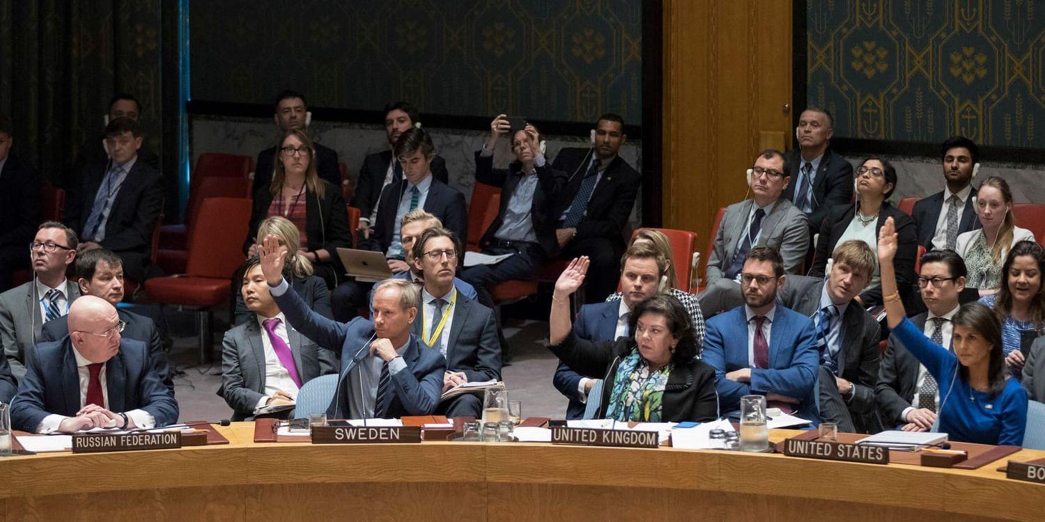 FN:s säkerhetsråd i en omröstning under lördagen.