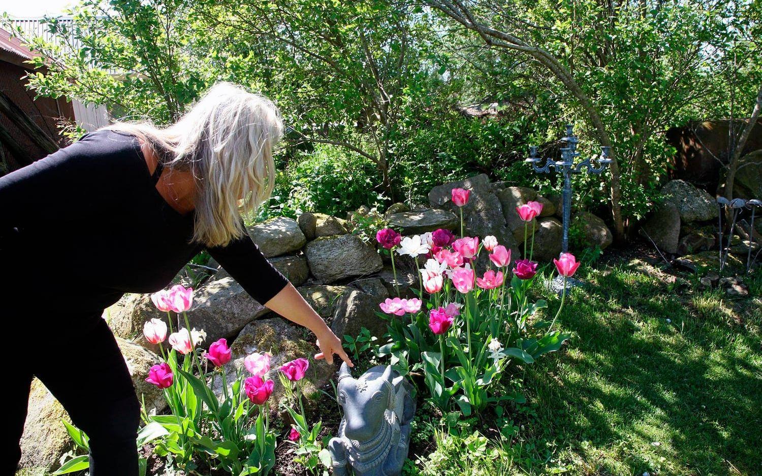 ”Men kolla de där tulpanerna, de är helt otroliga. Ingen skulle behöva jobba i maj månad”, säger Carina. Bild: Linda Glendell