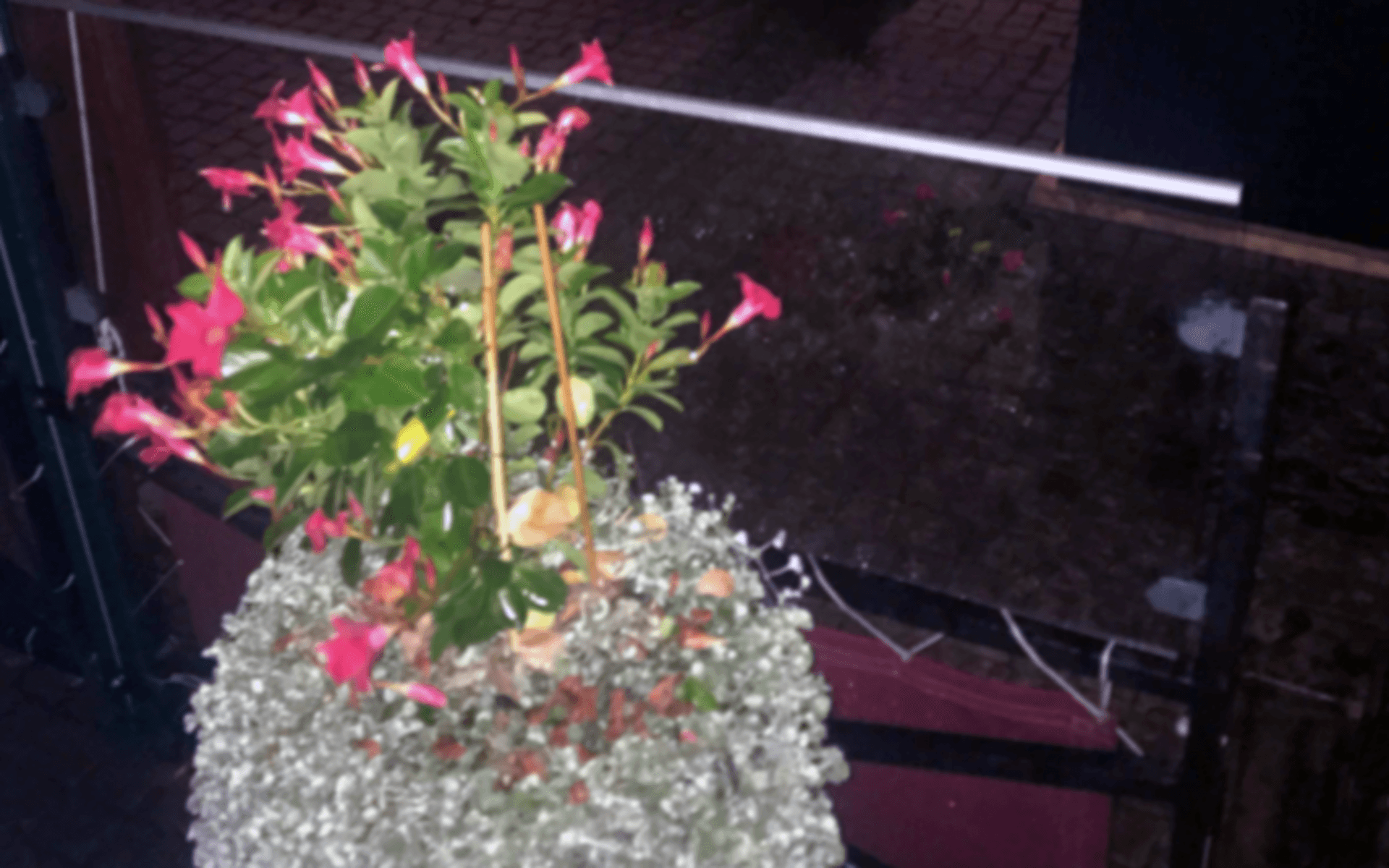 Mannen misstänks ha slängt en del av den här blomman och även tagit en blompinne och huggt mot vakten.