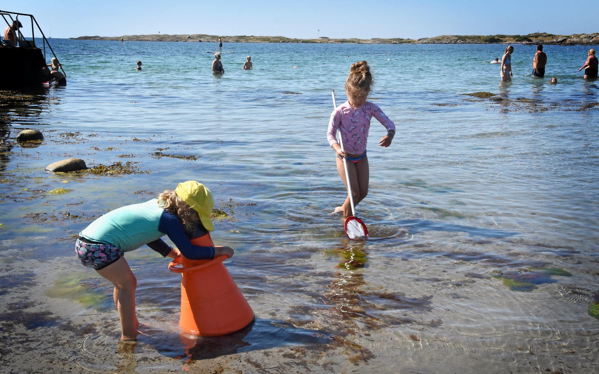 Hedda Niméus, 6 år, och Tora Niméus, 3,5 år, letar efter djur och växter i vattnet.