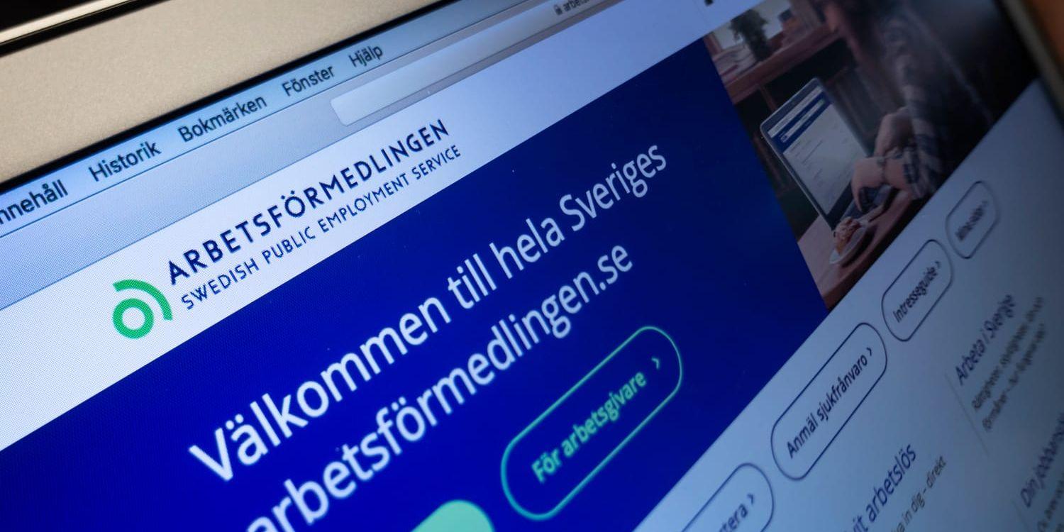 STOCKHOLM 20191016
Bild på person som söker arbete via Arbetsförmedlingens digitala tjänst på dator.
Foto: Stina Stjernkvist / TT kod 11610