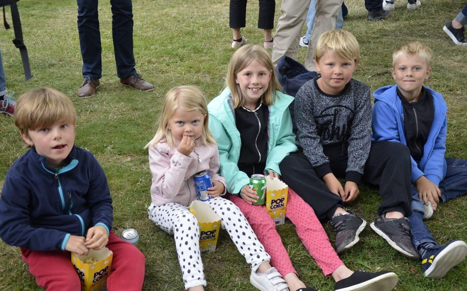 Lucas, Ida, Ayanna, Melvin och Simon satt på gräset och åt godis och popcorn.