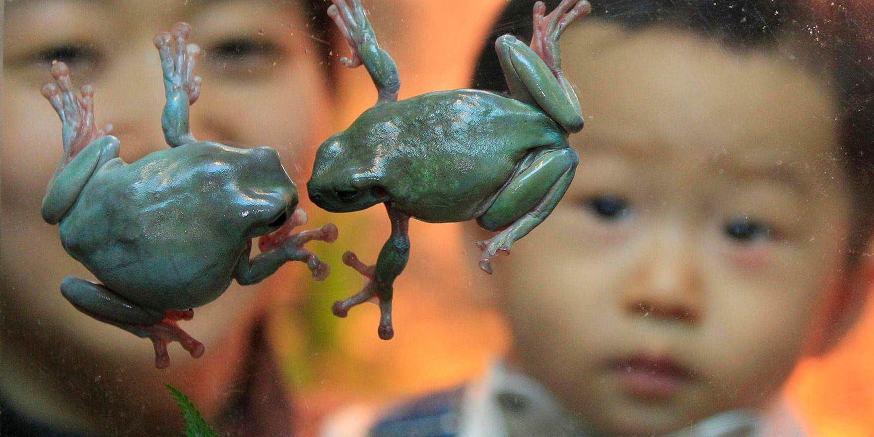 Mamma med barn besöker akvariet i Seoul, Sydkorea. Landets regering inför nya stöd åt barnfamiljerna för att få upp de låga födelsetalen. Arkivbild.