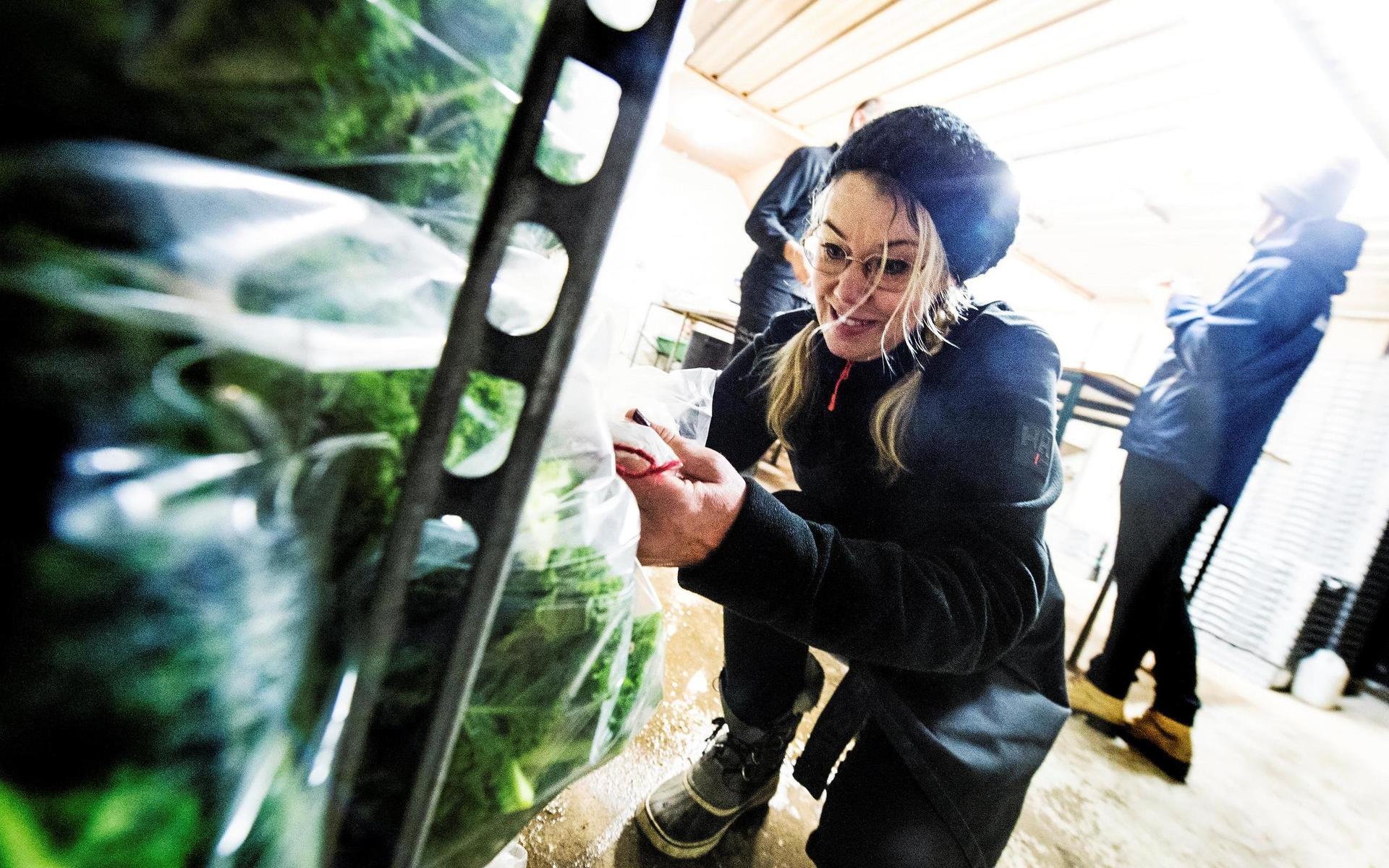 Mija Kanerot på Ugglarps Grönt hade fullt upp med försäljningen av grönkål i helgen.
