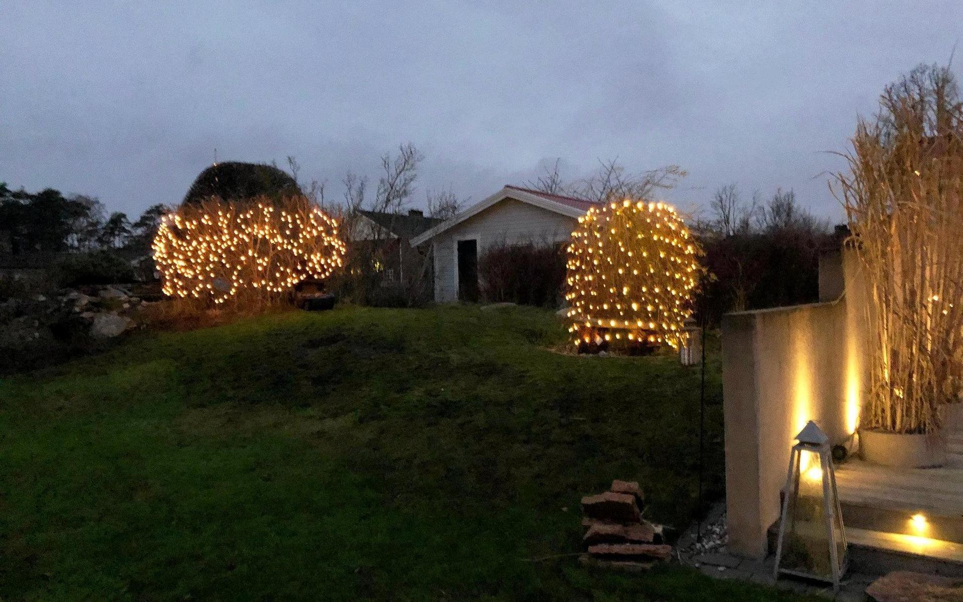 På baksidan av huset lyser buskarna upp med ljus.