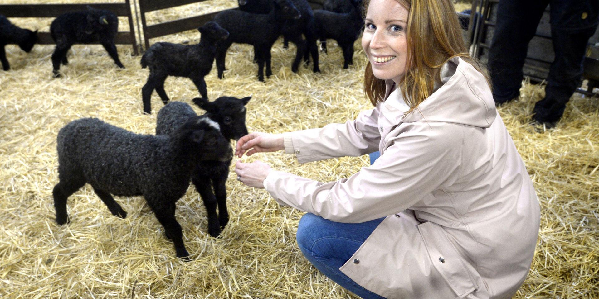Annie Lööf (C) besöker Öströö fårfarm.
